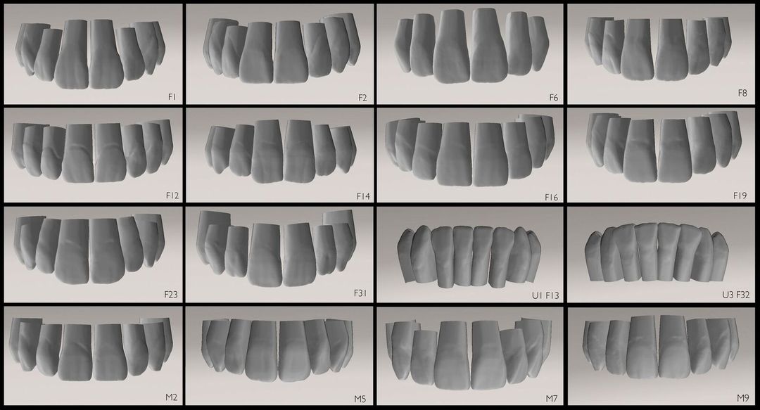 ANTERIORES 3D TOOTH LIBRARY PACKAGE